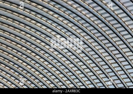 Toit en gare de Liège, Gare de Liège-Guillemins, conçu par l'architecte espagnol Santiago Calatrava, Liège, région wallonne, Belgique, Europe Banque D'Images