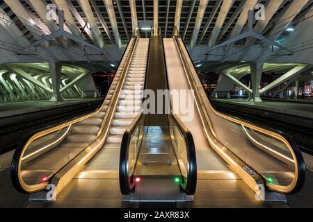 Escaliers mécaniques et plates-formes à la gare de Liège, Gare de Liège-Guillemins, conçu par l'architecte espagnol Santiago Calatrava, scène de nuit, Liège, Banque D'Images