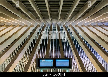 Toit en gare de Liège, Gare de Liège-Guillemins, conçu par l'architecte espagnol Santiago Calatrava, photo de nuit, Liège, wallon Banque D'Images