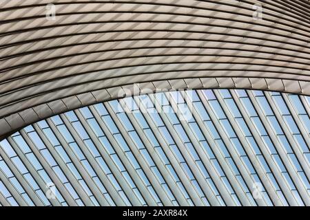 Toit en gare de Liège, Gare de Liège-Guillemins, conçu par l'architecte espagnol Santiago Calatrava, Liège, région wallonne, Belgique, Europe Banque D'Images