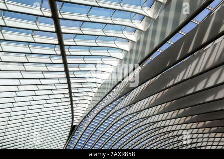 Toit en gare de Liège, Gare de Liège-Guillemins, conçu par l'architecte espagnol Santiago Calatrava, Liège, région wallonne, Belgique, Europe Banque D'Images