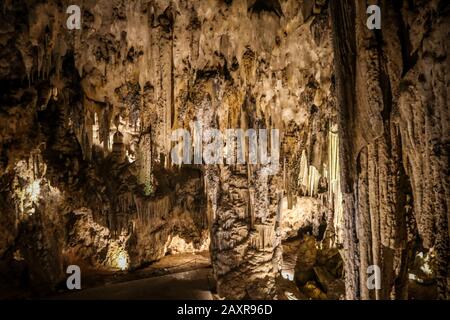 10 février 2020: 13 février 2020 (Nerja, Malaga) la grotte de Nerja est une grotte située à Maro, district de la commune espagnole de Nerja (Malaga) et découverte le 12 janvier 1959. En elle a été datée quelques peintures de phoques qui pourraient être la première œuvre connue d'art dans l'histoire de l'humanité, avec 42 mille ans d'antiquité, Toujours, la communauté scientifique le prend avec des qualms, étant donné que la datation d'assigner cet âge a été fait sur les coals trouvés dans le voisinage des peintures et non sur eux. En fait, une étude de 2017 a laissé l'antiquité entre 18 000 et 20 000 ans, ce qui allait mettre t Banque D'Images