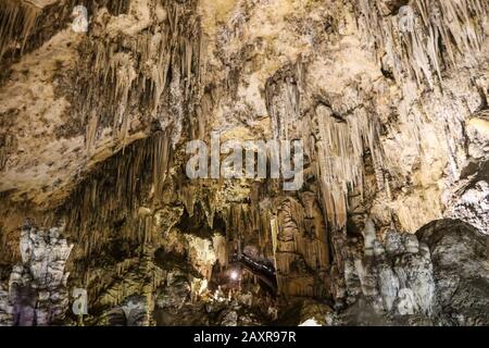 10 février 2020: 13 février 2020 (Nerja, Malaga) la grotte de Nerja est une grotte située à Maro, district de la commune espagnole de Nerja (Malaga) et découverte le 12 janvier 1959. En elle a été datée quelques peintures de phoques qui pourraient être la première œuvre connue d'art dans l'histoire de l'humanité, avec 42 mille ans d'antiquité, Toujours, la communauté scientifique le prend avec des qualms, étant donné que la datation d'assigner cet âge a été fait sur les coals trouvés dans le voisinage des peintures et non sur eux. En fait, une étude de 2017 a laissé l'antiquité entre 18 000 et 20 000 ans, ce qui allait mettre t Banque D'Images