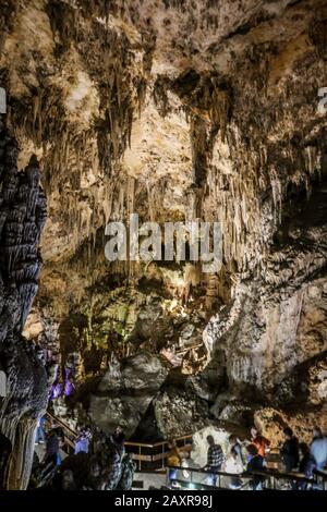 10 février 2020: 13 février 2020 (Nerja, Malaga) la grotte de Nerja est une grotte située à Maro, district de la commune espagnole de Nerja (Malaga) et découverte le 12 janvier 1959. En elle a été datée quelques peintures de phoques qui pourraient être la première œuvre connue d'art dans l'histoire de l'humanité, avec 42 mille ans d'antiquité, Toujours, la communauté scientifique le prend avec des qualms, étant donné que la datation d'assigner cet âge a été fait sur les coals trouvés dans le voisinage des peintures et non sur eux. En fait, une étude de 2017 a laissé l'antiquité entre 18 000 et 20 000 ans, ce qui allait mettre t Banque D'Images