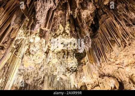 10 février 2020: 13 février 2020 (Nerja, Malaga) la grotte de Nerja est une grotte située à Maro, district de la commune espagnole de Nerja (Malaga) et découverte le 12 janvier 1959. En elle a été datée quelques peintures de phoques qui pourraient être la première œuvre connue d'art dans l'histoire de l'humanité, avec 42 mille ans d'antiquité, Toujours, la communauté scientifique le prend avec des qualms, étant donné que la datation d'assigner cet âge a été fait sur les coals trouvés dans le voisinage des peintures et non sur eux. En fait, une étude de 2017 a laissé l'antiquité entre 18 000 et 20 000 ans, ce qui allait mettre t Banque D'Images