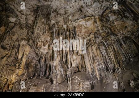 10 février 2020: 13 février 2020 (Nerja, Malaga) la grotte de Nerja est une grotte située à Maro, district de la commune espagnole de Nerja (Malaga) et découverte le 12 janvier 1959. En elle a été datée quelques peintures de phoques qui pourraient être la première œuvre connue d'art dans l'histoire de l'humanité, avec 42 mille ans d'antiquité, Toujours, la communauté scientifique le prend avec des qualms, étant donné que la datation d'assigner cet âge a été fait sur les coals trouvés dans le voisinage des peintures et non sur eux. En fait, une étude de 2017 a laissé l'antiquité entre 18 000 et 20 000 ans, ce qui allait mettre t Banque D'Images