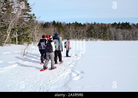 Les randonneurs Qui Marchent dans Les cinq lacs de Shiretoko couverts de neige en hiver, Hokkaido, Japon Banque D'Images