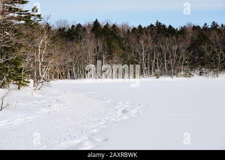 Randonnée à travers la neige couvert Shiretoko Cinq lacs en hiver, Hokkaido, Japon Banque D'Images