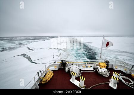 Le brise-glace MS Aurora navigue dans la mer d'Okhotsk avec de la glace dérivant en hiver, Shiretoko, Hokkaido, Japon Banque D'Images