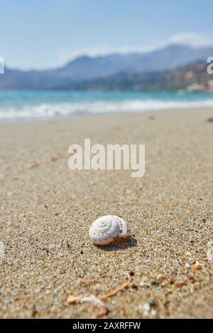 Shell maison sur la plage de Plakias, Crète, Grèce Banque D'Images