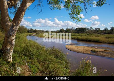 Rivière Sabie à Skukuza dans le Krugerpark Banque D'Images