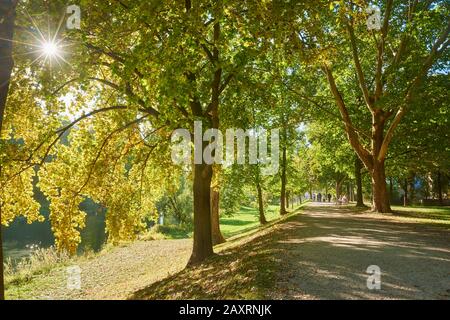 Aire de loisirs Stone Bridge, automne, Regensburg Banque D'Images