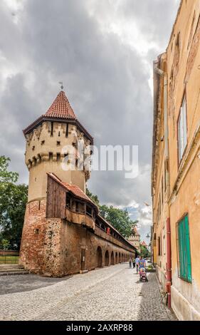 Tour médiévale de Carpenters (Turnul Dulgherirol) et mur de ville avec galerie, Strada Cetatii à Sibiu, Transylvanie, Roumanie Banque D'Images