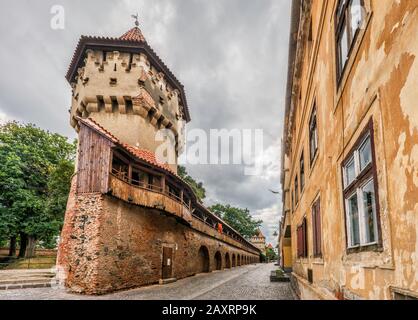 Tour médiévale de Carpenters (Turnul Dulgherirol) et mur de ville avec galerie, Strada Cetatii à Sibiu, Transylvanie, Roumanie Banque D'Images