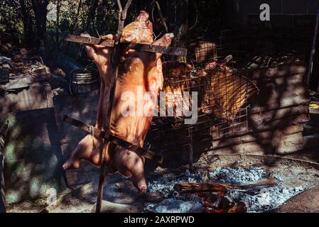 Cochon de succion traditionnel cuit sur le gril à charbon. Le petit cochon est grillé dans son ensemble sur un feu ouvert. Cochon organique sur la broche. Banque D'Images