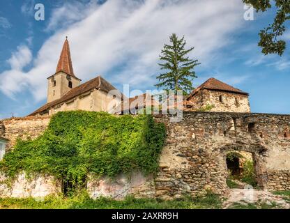 Église médiévale fortifiée saxonne ruinée à Dobirca, ancien allemand, aujourd'hui village tsigane, comté de Sibiu, Carpates du Sud, Transylvanie, Roumanie Banque D'Images