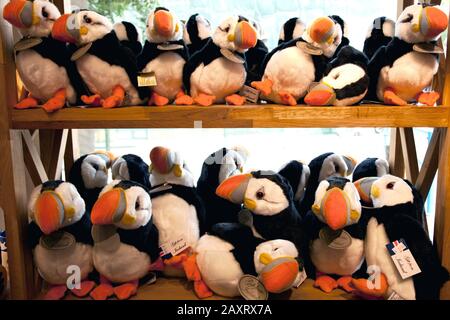 Bird, Puffin, Stuffed Animals, Landmark, Coloré, Ville, Islande, Reykjavik Banque D'Images