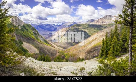 Vue sur une vallée avec des arbres incendiés dans les Rocheuses canadiennes à Sunshine Village, Banff, C.-B., Candada Banque D'Images