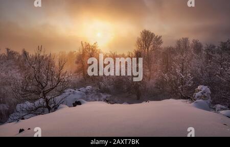 Beau paysage d'hiver dans les montagnes. Lever du soleil Banque D'Images