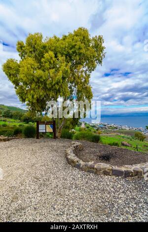 Tiberias, Israël - 10 février 2020: Vue sur la forêt suisse et la mer de Galilée (lac Kinneret), nord d'Israël Banque D'Images