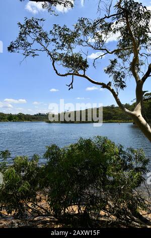 Vue sur le lac Wentworth Falls dans les montagnes Bleues à l'ouest de Sydney Banque D'Images