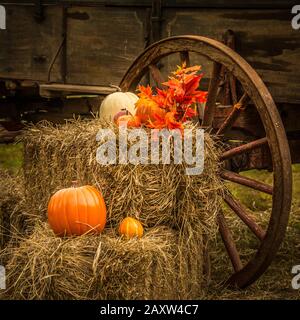 Les courges et les courges de Pumppikins avec un vieux wagon font un affichage saisonnier d'automne sur un vieux wagon en bois Banque D'Images