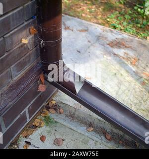 Gros plan d'un bec monté sur un mur de briques, composition carrée Banque D'Images