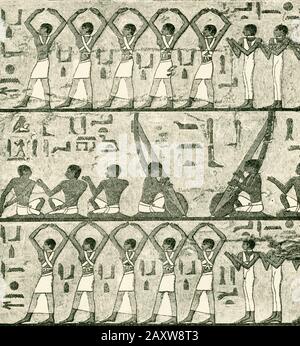 Chanteurs, flûte-joueurs, harpistes et danseurs de la tombe de Ti (également épelé TY). La Mastaba de Ti a été découverte par Auguste Mariette en 1865. Ce tombeau privé grand et détaillé n'est pas seulement l'art de l'ancien Royaume à son meilleur mais aussi l'une des principales sources de connaissances sur la vie dans le vieux Royaume Egypte. Son propriétaire, Ti, était envahisseur des pyramides d'Abu Sir (également orthographiées Abusir) et des temples du soleil (entre autres choses) pendant la 5ème dynastie ( c 2465-2323 BC). TI était un coiffeur à la royauté pendant la dynastie des premiers V, ainsi que le contrôleur des fermes et des stocks qui appartenaient à la Banque D'Images