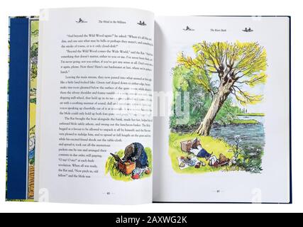 Une illustration de Mole par la River Bank à l'intérieur du vent de Kenneth Grahame dans les Willows, dessiné par EH Shepherd Banque D'Images