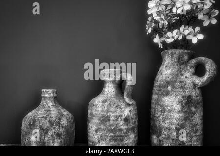 Fleurs blanches dans des pots rustiques en béton à proximité d'un mur gris foncé, design moderne Banque D'Images