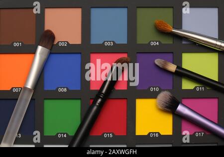 Palette colorée d'ombres à paupières avec formes de maquillage Banque D'Images