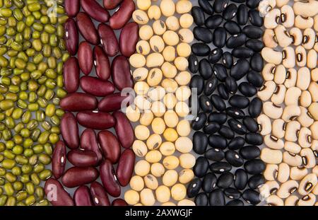 Collecte de différentes légumineuses soja, haricots blancs, haricots rouges, haricots verts et haricots noirs, Banque D'Images