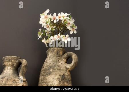 Fleurs blanches dans des pots rustiques en béton à proximité d'un mur gris foncé, design moderne Banque D'Images