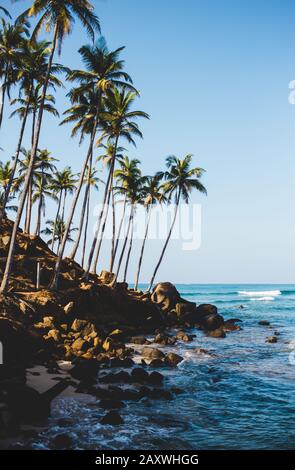 Colline de noix de coco dans la baie de Mirissa au Sri lanka. Endroit touristique populaire pour le lever du soleil romantique et le coucher du soleil. Plage de tortues. Banque D'Images