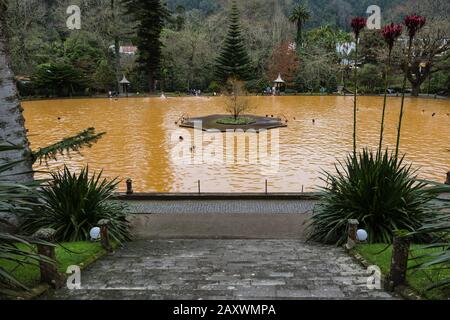 Furnas, Açores - février 2020: Source chaude naturelle dans le jardin "Terra Nostra" où les gens nagent dans l'eau chaude de l'île de Sao Miguel, aux Açores, au Portugal Banque D'Images