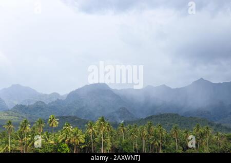 Vue sur Les Coconut Trees et les montagnes de Baybay City, Leyte, Philippines Banque D'Images