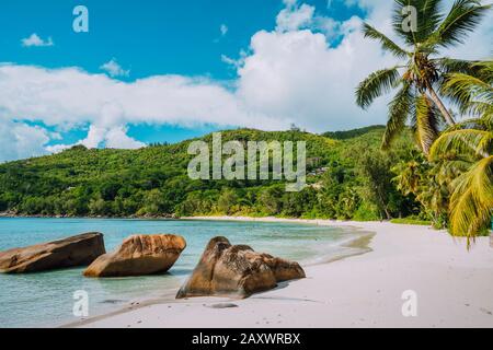 Plage de sable blanc, cococotiers et lagon bleu de l'île tropicale, plage d'Anse Takamaka, Seychelles Banque D'Images