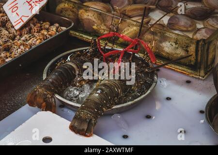 Langoustes, moules et palourdes fraîches sur le marché des fruits de mer - Banque D'Images