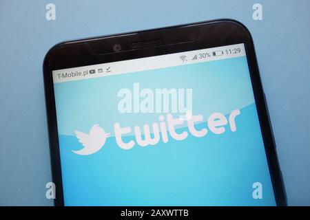 Logo Twitter affiché sur le smartphone Banque D'Images