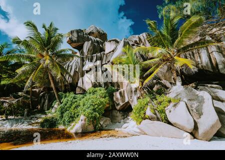 Île De La Digue, Seychelles. Grand Anse bizarfand en forme de rochers de granit avec des palmiers sur la plage Banque D'Images