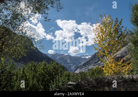 La chaîne de montagnes lointaine des Highlands en été avec des nuages flottants encadrant la toile de fond sur les sentiers de randonnée de l'Himalaya. Arbres des hautes terres à mise au point douce automne Banque D'Images