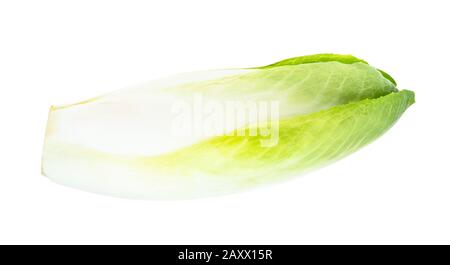 découpe d'endive belge mûre fraîche sur fond blanc Banque D'Images