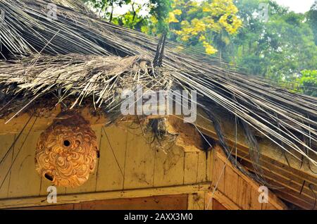 Un toit de fibre de palmier de maison en bois ethnique avec ruche pendante à Tasikmalaya, Java Ouest, Indonésie Banque D'Images