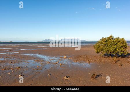 Tourisme sur la plage, Queens Beach, Queensland, Australie Banque D'Images