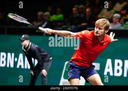 13 février 2020 Rotterdam, Pays-Bas tournoi ABN Amro ATP de tennis David Goffin (bel) Banque D'Images