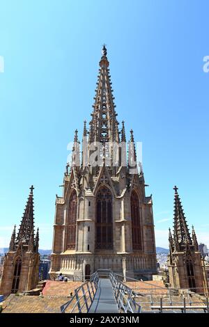 La cathédrale gothique de Barcelone du XIVe siècle (Catedral de Barcelona) où 13 oies sont bien entretenues Banque D'Images