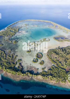 Une île tropicale isolée dans la mer de Molucca est bordée d'un anneau de mangrove qui entoure un lagon peu profond. Banque D'Images