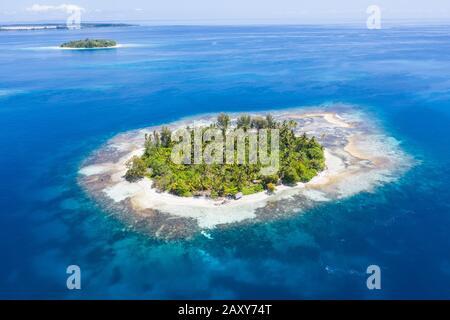 Une île tropicale éloignée de la mer de Molucca, en Indonésie, est entourée d'un récif de corail sain. Cette région abrite une incroyable biodiversité marine. Banque D'Images