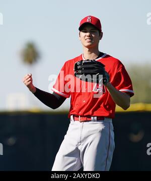 Shohei Ohtani des Los Angeles Angels lors de l'entraînement de printemps du camp de baseball le 12 février 2020 à Tempe, Arizona, États-Unis. Crédit: Aflo/Alay Live News Banque D'Images