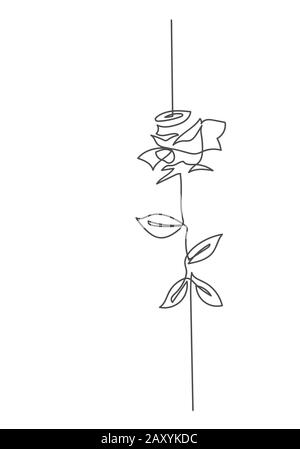 Tracé continu d'une ligne. Illustration en noir et blanc. Une ligne de style fleur de rose- art isolée sur fond blanc. Banque D'Images